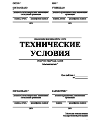 Технические условия на пастилу Димитровграда Разработка ТУ и другой нормативно-технической документации